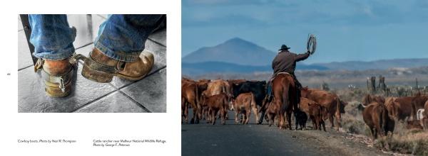On the left, worn cowboy boots and spurs; on the right, a cowboy herds cattle along a rural road framed by mountains and wildlife—captured in "Eastern Oregon" from Schiffer Publishing, Ltd.