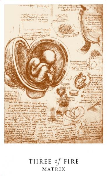 A sepia-toned fetus curled in a womb, with anatomical sketches and notes, appears on the Da Vinci Enigma Tarot card "Three of Fire – Matrix" by Schiffer Publishing, Ltd., evoking the detailed style of its guidebook.