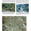 A page from "Paleozoic Fossils" by Schiffer Publishing, Ltd. features three color photos: a wooden rail by fossil burrows in red rock, trace fossils on a bluish hillside, and close-up burrows in sediment, each with descriptive captions.