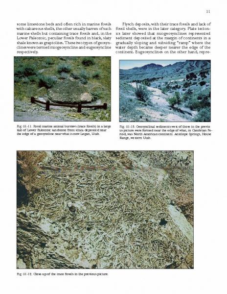 A page from "Paleozoic Fossils" by Schiffer Publishing, Ltd. features three color photos: a wooden rail by fossil burrows in red rock, trace fossils on a bluish hillside, and close-up burrows in sediment, each with descriptive captions.