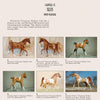 A catalog page showcases six Hartland Horses by Schiffer Publishing, Ltd., each in its own box with a label detailing the breed, color, and model number. The title reads: Tests Photo Pleasure—classic collectibles for enthusiasts.