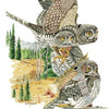 Small Mountain Owls" by Schiffer Publishing, Ltd. features three owls in a forest clearing—one perched, one flying, and one with prey—amid pine trees and distant Rocky Mountains-inspired scenery.