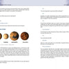 A page from “Spirits Speak of the Universe” by Schiffer Publishing, Ltd. features info and images of Jupiter’s moons—Io, Europa, Ganymede, and Callisto—plus a discussion on exploring Jupiter and meeting alien life.