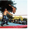 A wrestler soars toward an opponent in an outdoor ring as a referee and crowd watch under sunlit trees—a thrilling scene from Hard Boys and Bad Girls by Schiffer Publishing, Ltd., inspiring aspiring wrestlers everywhere.