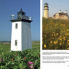 Provincetown Perspectives by Schiffer Publishing, Ltd. features photos of a white lighthouse amid pink flowers and grass, plus another Cape Cod lighthouse with an attached house near yellow wildflowers under a blue sky.