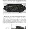 A black-and-white page from "Strange Pennsylvania Monsters" by Schiffer Publishing, Ltd. features an engraved stone with animal figures and a mammoth skeleton photo, plus text about mammoth art and cryptozoology.