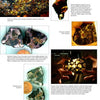A Schiffer Publishing Meteorites collage features close-ups and slices of pallasite meteorites like Esquel, Brenham, and Fukang, showcasing yellow-green crystals, metallic fragments, descriptive text, and a coin for scale—a stunning collector’s guide.