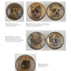 Six glass Bridle Rosettes by Schiffer Publishing, Ltd. feature painted portraits of terriers and mastiffs on gold or brown backgrounds. These 19th-century horse tack collectibles are displayed in two rows on a white page.