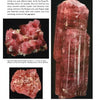 A page from "Collector's Guide to the Tourmaline Group" by Schiffer Publishing, Ltd. displays three labeled red elbaite specimens, showcasing their unique shapes and colors. Captions and informative text appear beneath each photo for mineral collectors.