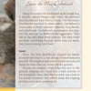 A page from "Tails of the Afterlife" by Schiffer Publishing, Ltd. shares Sauci the Mini Dachshund’s loving story and a heartfelt pet visitation, with a blurred dog’s face image on the left margin.