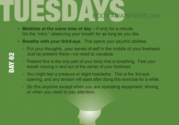 Green graphic for Body Awareness Day with meditation tips from Build Your Psychic Skills by Schiffer Publishing, Ltd.: meditate daily focusing on your forehead to awaken psychic abilities. Illustration: rays shine from a silhouette’s forehead.