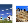 Left: Young people play volleyball on a grassy lawn. Right: People work together on a wooden roof frame under a blue sky. These scenes are featured in the Schiffer Publishing, Ltd. book Seasons of Lancaster County.