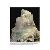 The Collector's Guide to the Beryl Group by Schiffer Publishing, Ltd. explores prized beryl crystals—often pale green with pink, aquamarine, or emerald hues—sought after by mineral collectors worldwide.