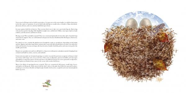 A two-page spread from Nature Mandalas Wonders of the Earth, Wind, and Sea (Schiffer Publishing, Ltd.) shows text on the left and a right-page illustration of a bird's nest with eggs, twigs, and leaves, with small bird graphics and a page number at the bottom left.