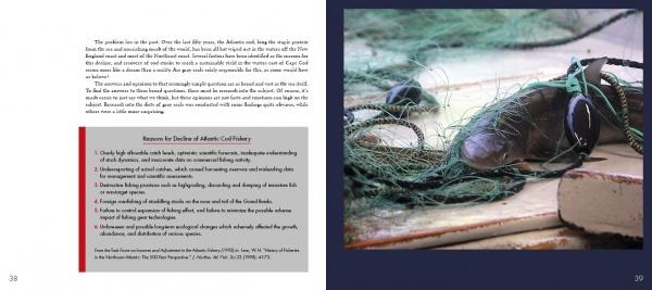 A close-up of tangled green fishing nets, buoys, and wooden planks on a boat deck appears beside a page from "The Gray Curtain" by Schiffer Publishing, Ltd., highlighting reasons for Atlantic cod fishery decline, including rising gray seal populations.