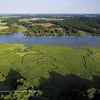 Aerial view of the winding Choptank River with green marshlands, farmland, and forests on the Delmarva Peninsula under a blue sky. The image features the text "Choptank Odyssey" from Schiffer Publishing, Ltd.