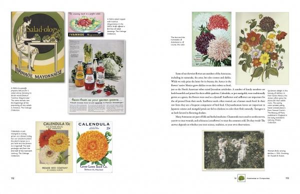 A two-page spread from "The Graphic Vegetable" by Schiffer Publishing, Ltd. showcases vintage seed packet art, mayonnaise ads, vibrant flower illustrations, a black-and-white photo of three children with plants, and text on flower varieties.