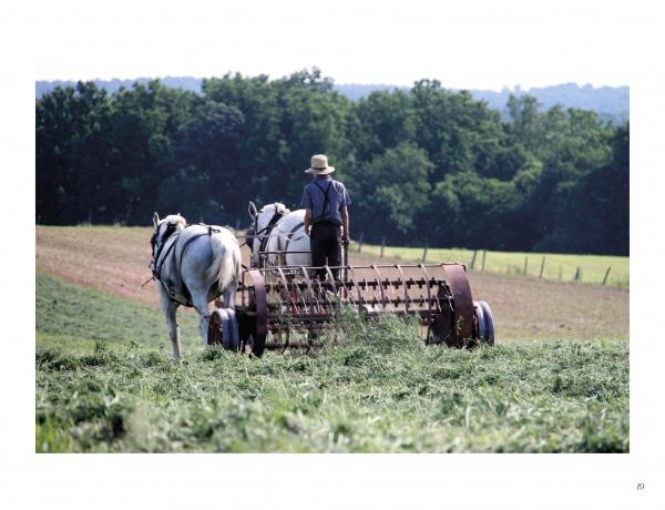 In "Lancaster County: Out and About" by Schiffer Publishing, Ltd., a hat-and-suspenders-clad driver guides a horse-drawn hay rake through a green field lined with trees—capturing the timeless Amish charm of Lancaster County.