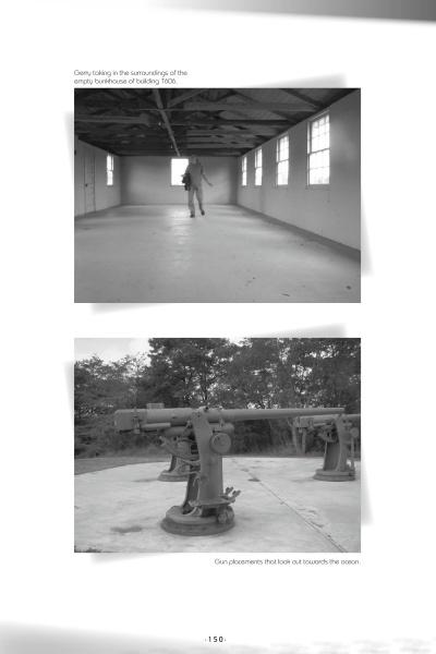 In this scene inspired by "Ghosts of Delaware" from Schiffer Publishing, Ltd., a solitary figure stands in a sunlit, empty room with exposed beams, while outside, an old artillery gun faces dense trees and the distant ocean.