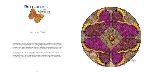 A spread from "Nature Mandalas Wonders of the Garden" by Schiffer Publishing, Ltd. shows the title "Butterflies and Moths" with an orange butterfly and "Mourning Cloak" on the left, and a circular illustration of four purple and yellow butterflies on the right.