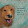 On the left, a happy golden retriever is drawn with its tongue out. On the right, a blue and brown background shows a contents list, story titles, and page numbers for Schiffer Publishing’s Rupert’s Tales: Rupert Helps Clean Up.