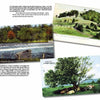 A collage of three vintage Berkshires postcards from Schiffer Publishing, Ltd.: a green hillside, a lake view with a frog statue, and a large tree among grass and rocks—each with brief historical or descriptive captions.