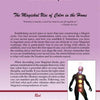 A page from Sacred Objects, Sacred Space by Schiffer Publishing, Ltd. features a chakra illustration and a section on the color red, exploring its magickal energies commonly used in witchcraft and magickal tools.