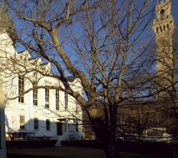 A leafless tree stands before a white building as a tall stone tower rises behind, all under blue skies in Provincetown, Massachusetts—a view captured in "Provincetown Perspectives" by Schiffer Publishing, Ltd.
