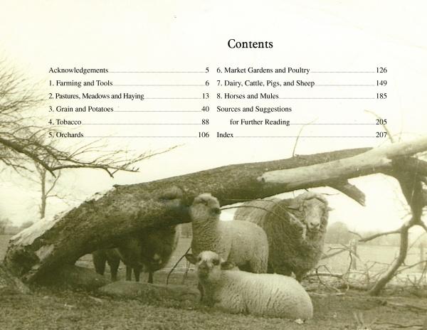 Four sheep rest under a fallen tree in a field with bare trees behind them. On the left, the table of contents for "Yesterday's Farm Tools & Equipment" by Schiffer Publishing, Ltd. is visible.