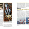 Rockets and Missiles of Vandenberg AFB" by Schiffer Publishing, Ltd. features photos of rocket launches, equipment, and launchpads at Vandenberg AFB, with text in columns describing various launch systems on white pages.
