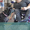 Tanya, in a manual wheelchair, smiles and reaches to her black service dog Gracie. People and dogs mingle behind them. Ambassador Dogs by Schiffer Publishing, Ltd. celebrates their inspiring bond among many heartwarming dog stories.