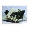 A cluster of bladed, dark green epidote with clear-to-white quartz crystals—classic silicates—is shown on white, as featured in Schiffer Publishing, Ltd.'s Collector's Guide to the Epidote Group.