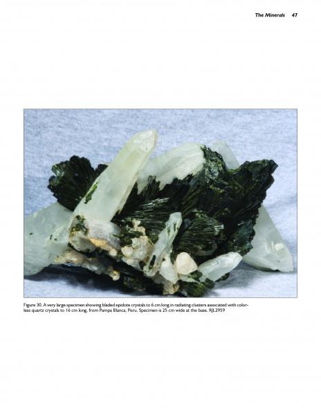 A cluster of bladed, dark green epidote with clear-to-white quartz crystals—classic silicates—is shown on white, as featured in Schiffer Publishing, Ltd.'s Collector's Guide to the Epidote Group.
