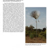 A tall stainless steel sculpture with fan-like rods stands in a grassy field beneath a clear sky, exemplifying contemporary art featured in "100 Artists of the West Coast II" by Schiffer Publishing, Ltd. Artist info is displayed on the left.