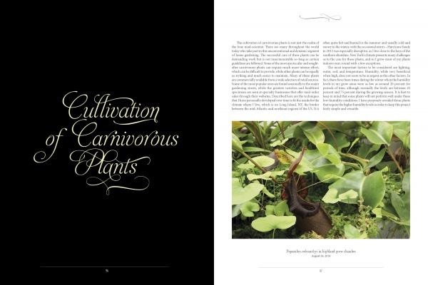 A two-page book spread from The Sinister Beauty of Carnivorous Plants by Schiffer Publishing, Ltd.: the left page shows the title in elegant script on black, while the right displays text on plant conservation and striking pitcher plant photography.