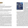 The foreword of It Came From the Video Aisle! (Schiffer Publishing, Ltd.) mimics a cult film script: two columns per page, left side titled FOREWORD and EXT. VENTURA BLVD. – 1981 – NIGHT; right side shows a B-movie studio-style photo.