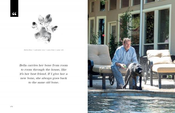 A man lounges poolside, spraying water from a hose at his black Labrador beside him. Enjoy outdoor moments like these in "At Home with Dogs" from Schiffer Publishing, Ltd.—the perfect inspiration for dog lovers.