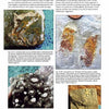 The "Paleozoic Fossils" textbook by Schiffer Publishing, Ltd. features four Archeocyathids and Chancelloria fossils with captions on their features, locations, significance, and their role in the fossil record.