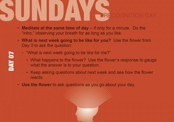 A graphic for Schiffer Publishing, Ltd.’s "Build Your Psychic Skills" shows mindfulness prompts—like meditation, weekly reflection, and using a visualized flower to explore feelings and boost psychic ability—with a head silhouette and light rays above it.