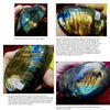 Four close-up photos from "Jewels of the Early Earth" (Schiffer Publishing, Ltd.) display polished labradorite’s iridescent blue, green, and gold hues, with each stone labeled by origin—Labrador, Madagascar—and descriptive text shown below.