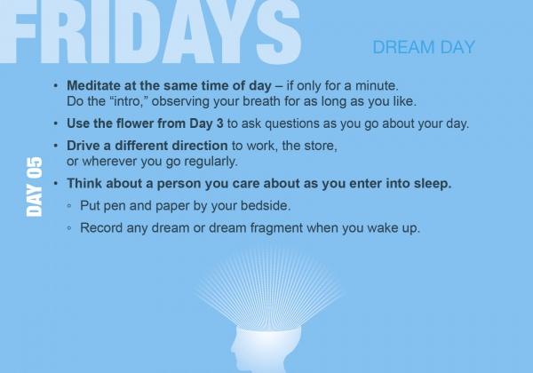 A blue graphic from "Build Your Psychic Skills" by Schiffer Publishing, Ltd. lists Day 5 of a 90-Day Plan: meditate, ask a flower questions, drive a new route, keep pen and paper bedside, and note dreams in the morning.