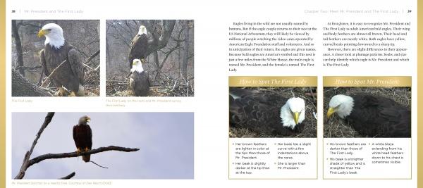 Mr. President and The First Lady by Schiffer Publishing, Ltd. features photos of bald eagles at the National Arboretum, info boxes from the DC Eagle Cam, and tips for spotting differences between male and female eagles.