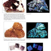 A page from Schiffer Publishing's "Collecting Fluorescent Minerals" displays six photos of fluorite in various colors and forms, including purple, amber, and blue clusters, some glowing under UV light—ideal for any mineral field guide.