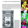 A page from Seed Art by Schiffer Publishing, Ltd. showcases a vintage 1869 seed catalog illustration on the left, vibrant flower images on the right, and descriptive text about historic seed catalog and artwork at the top.