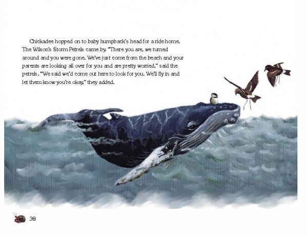 Chickadee & The Whale by Schiffer Publishing, Ltd.: An illustration of a baby humpback whale at the ocean surface with a bird perched on its back and two flying nearby. Ideal for children’s stories, it features conversations between the whale and birds.
