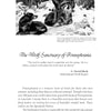 Black-and-white photo of four wolves resting in a wooded area. Below, text from Schiffer Publishing, Ltd.'s “Animals Impacting the World” shares the Wolf Sanctuary of Pennsylvania’s healing mission and a history of these remarkable companions.