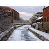 The Chesapeake and Ohio Canal by Schiffer Publishing, Ltd. captures the canal’s history with frozen waters, snowy paths, red brick buildings, bare trees, and a cloudy winter sky.