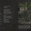 A two-page spread from Brass Valley (Schiffer Publishing, Ltd.) titled FOLLOWING TRACKS features yellow text on a dark background and a right-side photo of overgrown grass and trees along abandoned railway tracks.