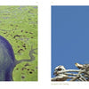 Aerial view of winding Cape Cod marshes beside a close-up of two ospreys in their nest—stunning Cape Cod photography from "Cape Cod along the Shore" by Schiffer Publishing, Ltd.