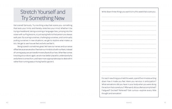 The Awake workbook page by Schiffer Publishing, Ltd. features a motivational paragraph and lined space to list three new things to try that week, plus a prompt for reflecting on how each experience made you feel.